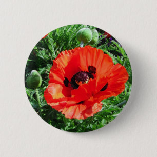 Red poppy - Button