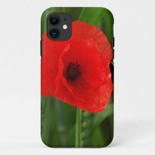 Red poppy iPhone 11 case