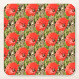 Red Poppy Coasters