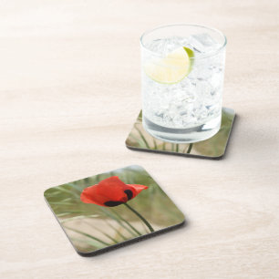Red Poppy Coasters