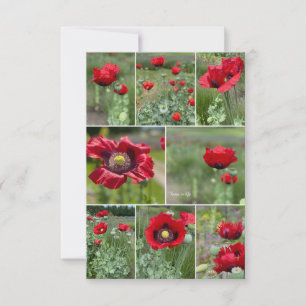 Red Poppy Collage Card