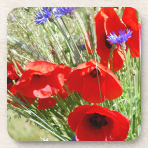Red Poppy, Cottage Garden  photo Coaster