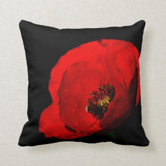 Red poppy cushion