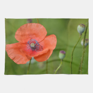 Red Poppy Dish Towel