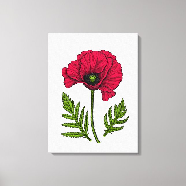 Red poppy drawing 3 canvas print (Front)