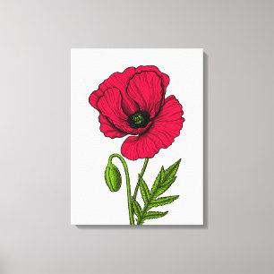 Red poppy drawing canvas print