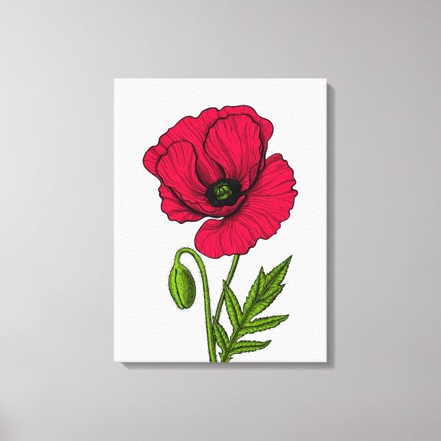 Red poppy drawing canvas print (Front)