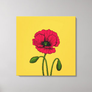 Red poppy drawing canvas print