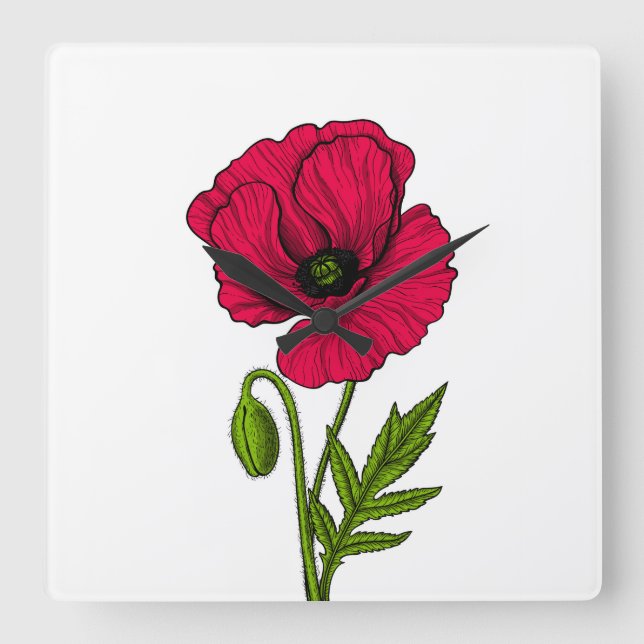 Red poppy drawing square wall clock (Front)