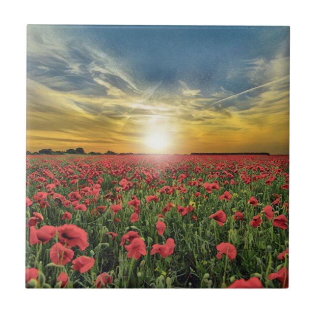 Red Poppy Field At Sunset Tile (Front)