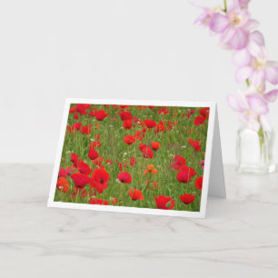Red Poppy Field Landscape Card