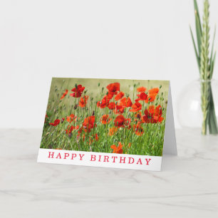 Red poppy field view birthday card