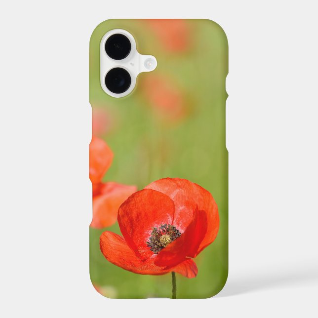 Red poppy flower closeup (Back)