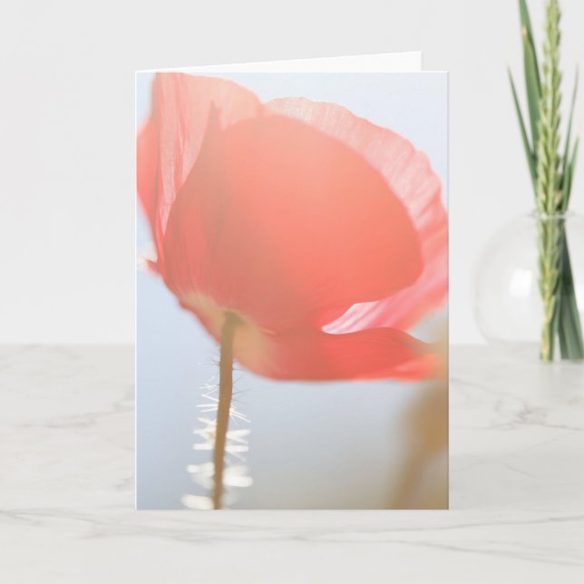 Red Poppy Flower in the Mist Any Occasion Card (Front)