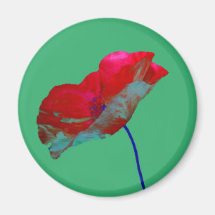Red poppy flower on emerald green magnet