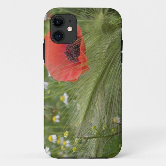 Red poppy flower, Tuscany, Italy Case-Mate iPhone Case (Back)