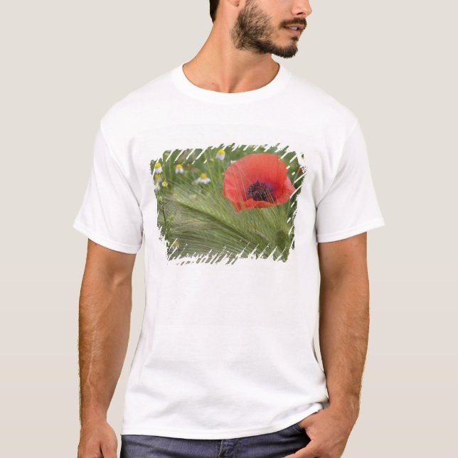 Red poppy flower, Tuscany, Italy T-Shirt (Front)