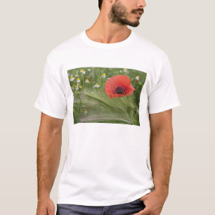 Red poppy flower, Tuscany, Italy T-Shirt
