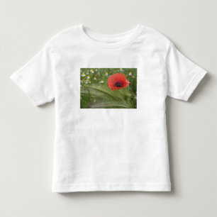 Red poppy flower, Tuscany, Italy Toddler T-Shirt