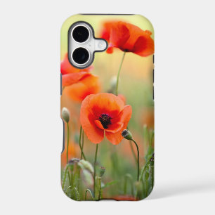 Red Poppy Flowers