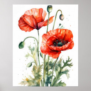 Red Poppy Flowers Art Print Poster
