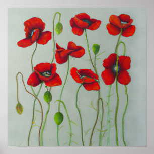 Red Poppy Flowers Art Print Poster