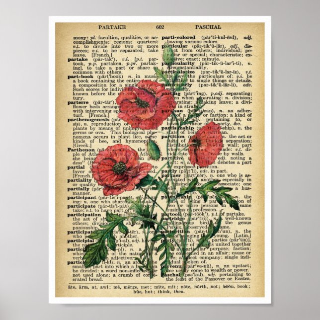 Red Poppy Flowers Art Print Poster Vintage Page (Front)