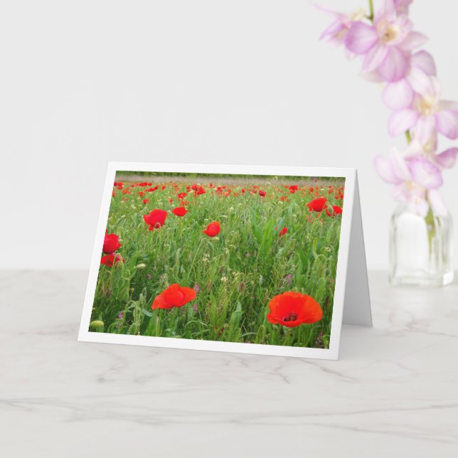 Red Poppy Flowers Card (Orchid)