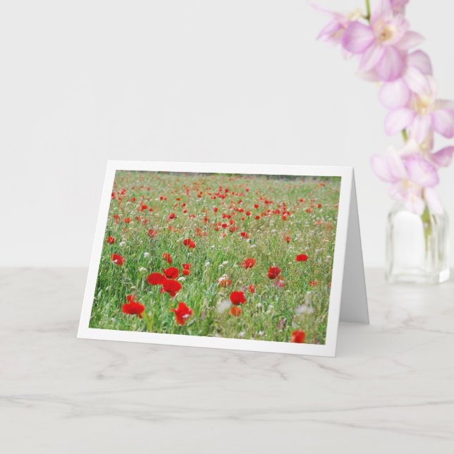 Red Poppy Flowers Card (Orchid)