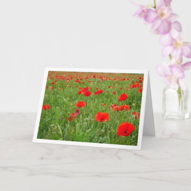 Red Poppy Flowers Card (Orchid)