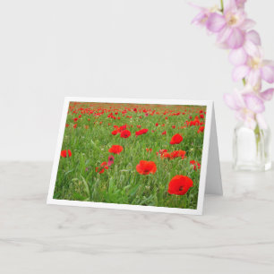Red Poppy Flowers Card