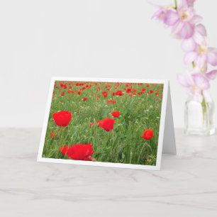 Red Poppy Flowers Card