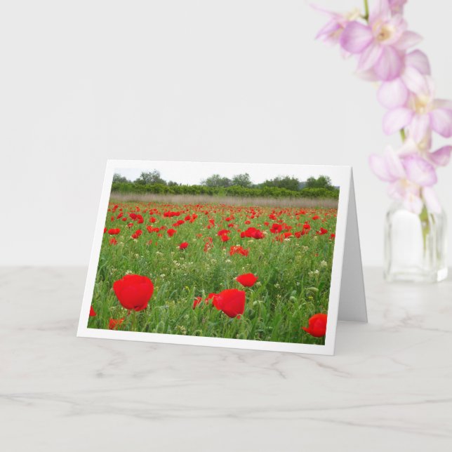 Red Poppy Flowers Card (Orchid)