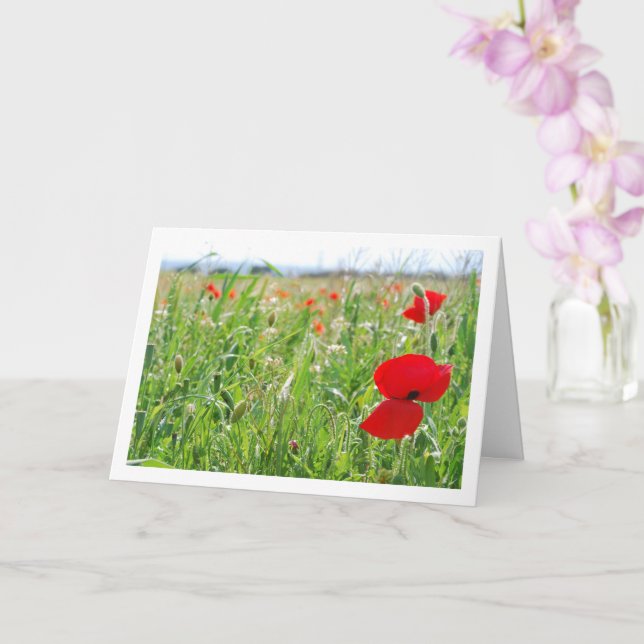 Red Poppy Flowers Card (Orchid)