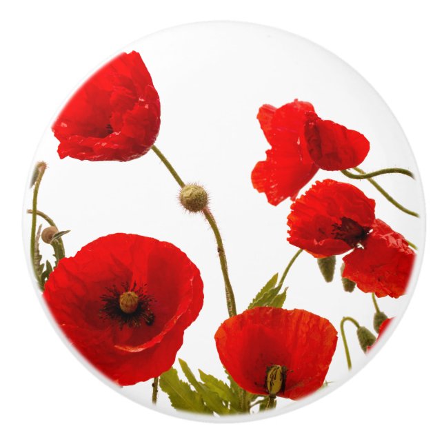 Red Poppy Flowers Colourful Floral Abstract White Ceramic Knob (Front)