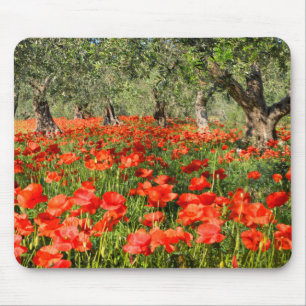 Red poppy flowers under old olive trees mouse mat