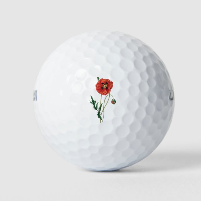 Red poppy flowers vintage sketch golf balls (Front)