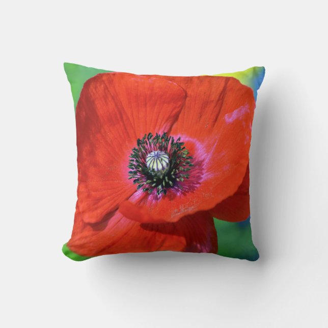 Red Poppy in the Sunshine Photograph Cushion (Front)