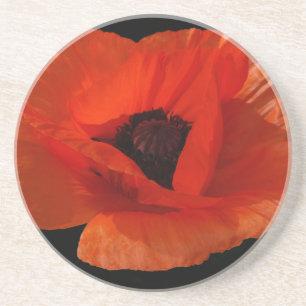Red Poppy Macro Coaster