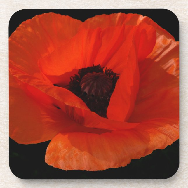Red Poppy Macro Coaster (Front)
