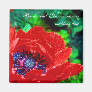 Red Poppy Magnet