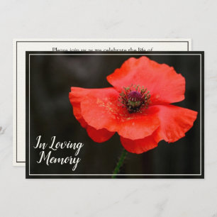 Red Poppy Memorial Service Funeral Announcement