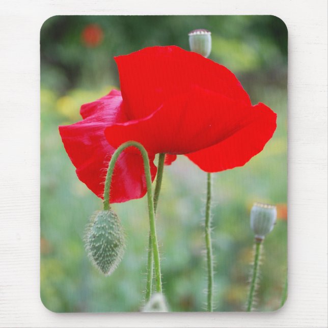 red poppy mouse mat (Front)