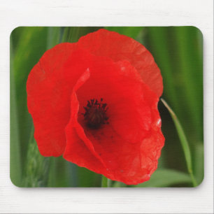 Red poppy mouse mat