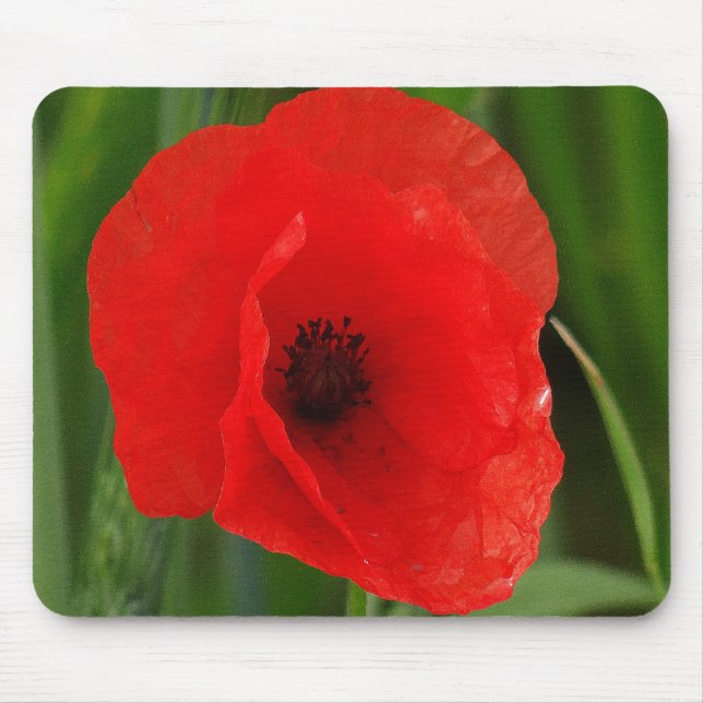 Red poppy mouse mat (Front)