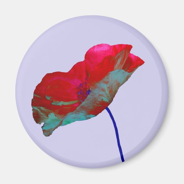 Red poppy on pastel purple lilac magnet (Front)