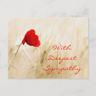 Red Poppy Open Field With Deepest Sympathy Postcard