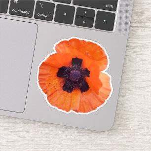 Red Poppy Photo