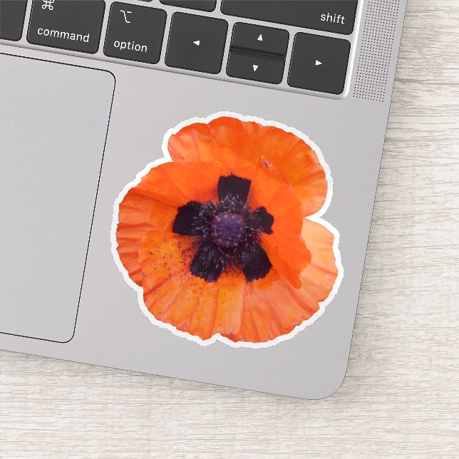 Red Poppy Photo (Detail)