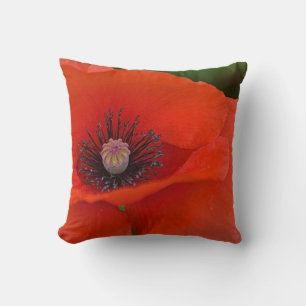 Red Poppy Pillow